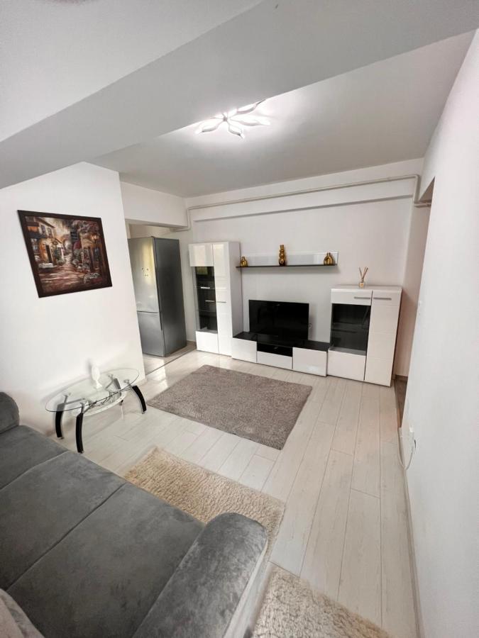 2 Rooms Apartment Airy & Bright Relax Iasi Exterior photo